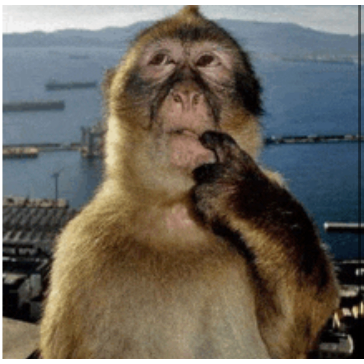 guys why am i on delievered